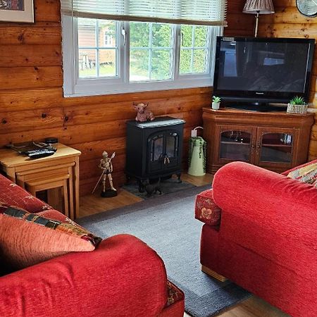 Snowdonia National Park Log Cabin With Garden Trawsfynydd Ngoại thất bức ảnh