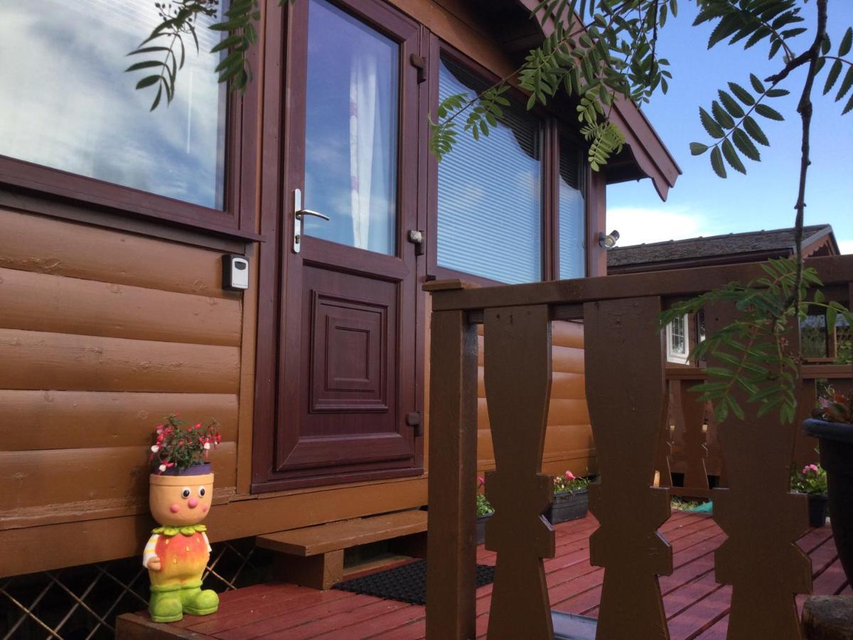 Snowdonia National Park Log Cabin With Garden Trawsfynydd Ngoại thất bức ảnh