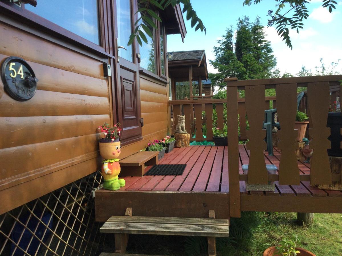 Snowdonia National Park Log Cabin With Garden Trawsfynydd Ngoại thất bức ảnh