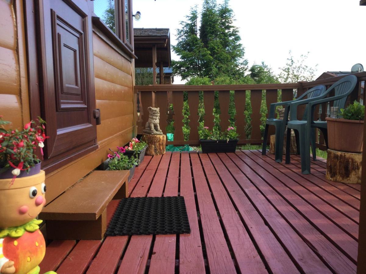 Snowdonia National Park Log Cabin With Garden Trawsfynydd Ngoại thất bức ảnh