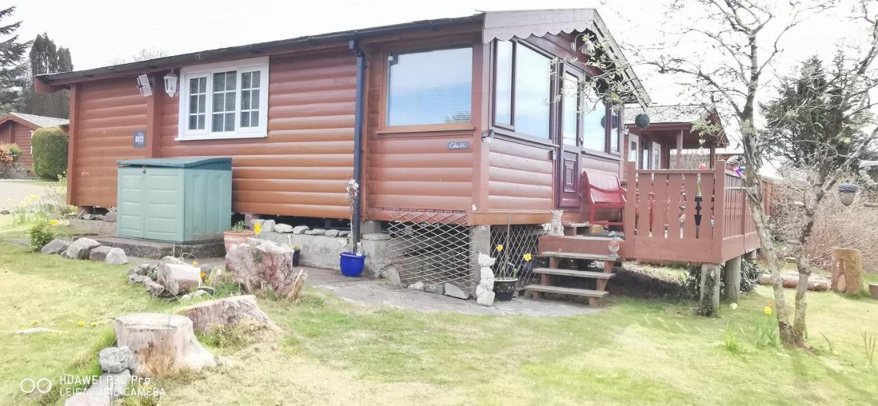Snowdonia National Park Log Cabin With Garden Trawsfynydd Ngoại thất bức ảnh