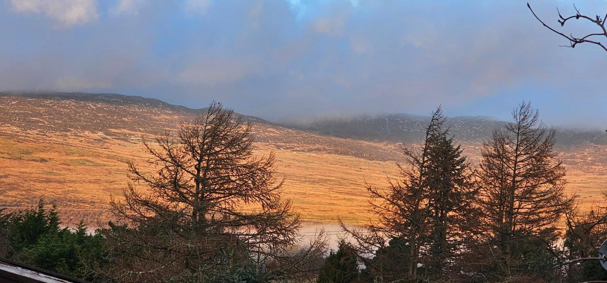 Snowdonia National Park Log Cabin With Garden Trawsfynydd Ngoại thất bức ảnh